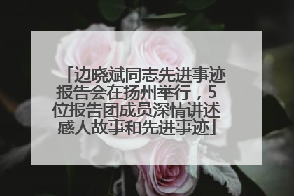 边晓斌同志先进事迹报告会在扬州举行，5位报告团成员深情讲述感人故事和先进事迹