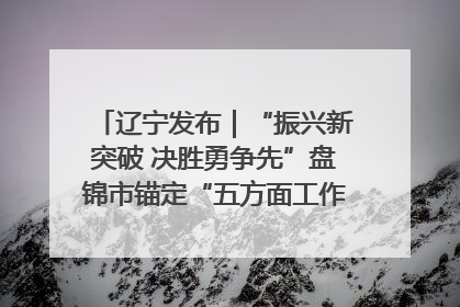 辽宁发布｜“振兴新突破 决胜勇争先”盘锦市锚定“五方面工作”力争全年地区生产总值增长5.5%左右
