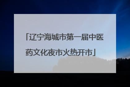 辽宁海城市第一届中医药文化夜市火热开市