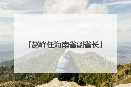 赵峰任海南省副省长