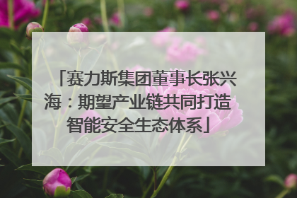 赛力斯集团董事长张兴海：期望产业链共同打造智能安全生态体系