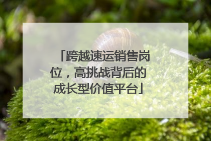 跨越速运销售岗位，高挑战背后的成长型价值平台