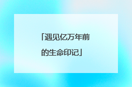 遇见亿万年前的生命印记