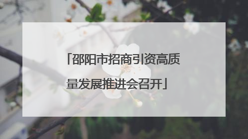 邵阳市招商引资高质量发展推进会召开