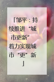 邹平：持续推进“城市更新” 着力实现城市“更”新