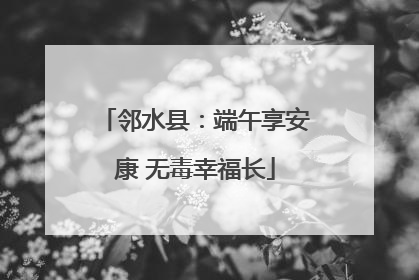 邻水县：端午享安康 无毒幸福长