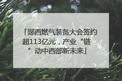 郧西燃气装备大会签约超113亿元，产业“链”动中西部新未来
