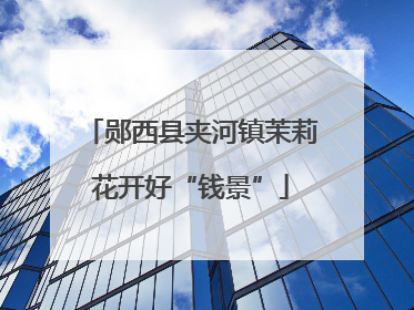 郧西县夹河镇茉莉花开好“钱景”