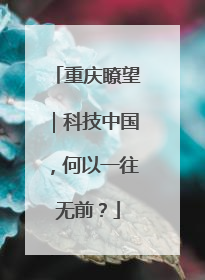 重庆瞭望｜科技中国，何以一往无前？