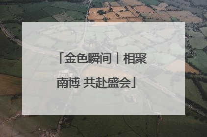 金色瞬间丨相聚南博 共赴盛会