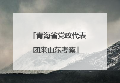 青海省党政代表团来山东考察