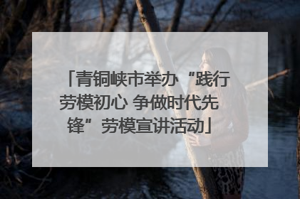 青铜峡市举办“践行劳模初心 争做时代先锋”劳模宣讲活动