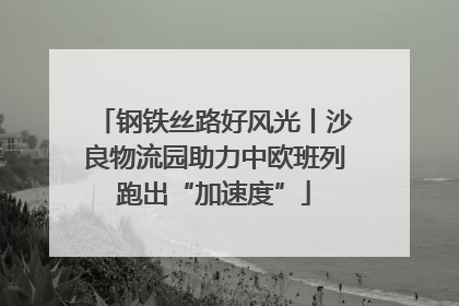 钢铁丝路好风光丨沙良物流园助力中欧班列跑出“加速度”