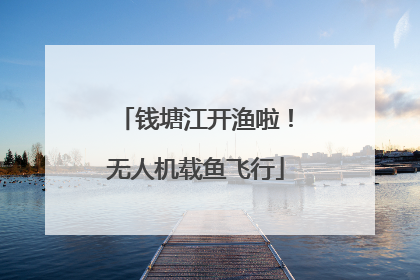 钱塘江开渔啦！无人机载鱼飞行