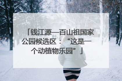 钱江源—百山祖国家公园候选区：“这是一个动植物乐园”