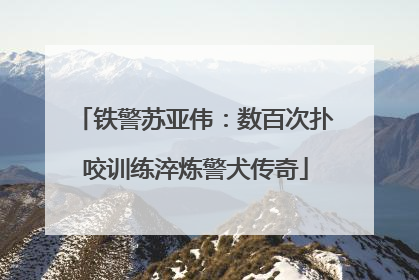 铁警苏亚伟：数百次扑咬训练淬炼警犬传奇