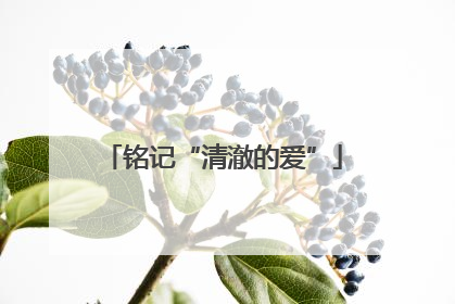 铭记“清澈的爱”