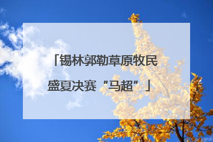 锡林郭勒草原牧民盛夏决赛“马超”