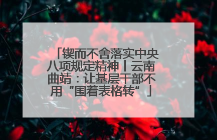 锲而不舍落实中央八项规定精神丨云南曲靖：让基层干部不用“围着表格转”