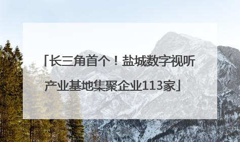 长三角首个！盐城数字视听产业基地集聚企业113家
