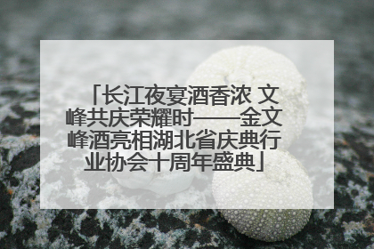 长江夜宴酒香浓 文峰共庆荣耀时——金文峰酒亮相湖北省庆典行业协会十周年盛典