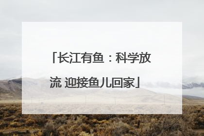 长江有鱼：科学放流 迎接鱼儿回家