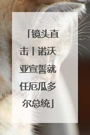 镜头直击丨诺沃亚宣誓就任厄瓜多尔总统