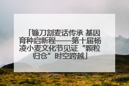 镰刀割麦话传承 基因育种启新程——第十届杨凌小麦文化节见证“颗粒归仓”时空跨越