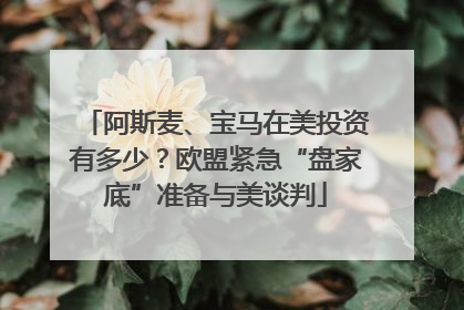 阿斯麦、宝马在美投资有多少？欧盟紧急“盘家底”准备与美谈判