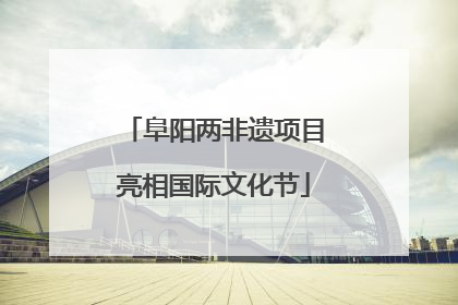 阜阳两非遗项目亮相国际文化节