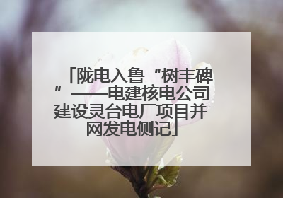 陇电入鲁“树丰碑”——电建核电公司建设灵台电厂项目并网发电侧记