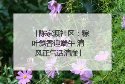陈家渡社区：粽叶飘香迎端午 清风正气话清廉