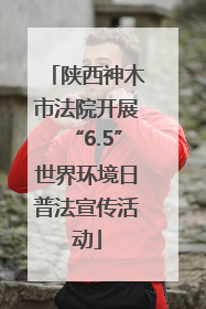 陕西神木市法院开展“6.5”世界环境日普法宣传活动
