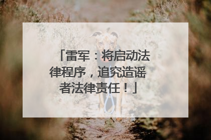 雷军：将启动法律程序，追究造谣者法律责任！