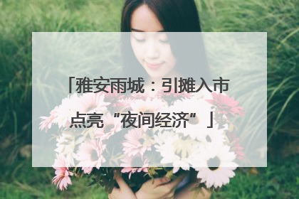 雅安雨城：引摊入市 点亮“夜间经济”