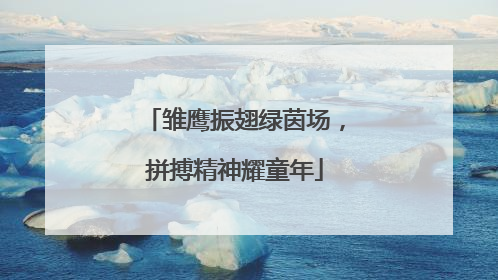 雏鹰振翅绿茵场，拼搏精神耀童年