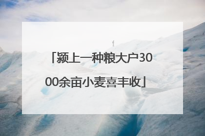 颍上一种粮大户3000余亩小麦喜丰收