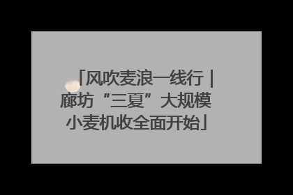 风吹麦浪一线行｜廊坊“三夏”大规模小麦机收全面开始