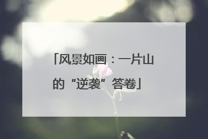 风景如画：一片山的“逆袭”答卷