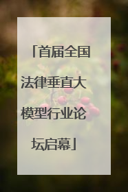首届全国法律垂直大模型行业论坛启幕