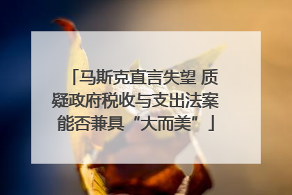马斯克直言失望 质疑政府税收与支出法案能否兼具“大而美”