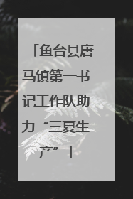 鱼台县唐马镇第一书记工作队助力“三夏生产”