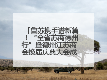 鲁苏携手谱新篇！“全省苏商德州行”暨德州江苏商会换届庆典大会成功举办
