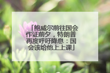 鲍威尔前往国会作证前夕，特朗普再度呼吁降息：国会该给他上上课