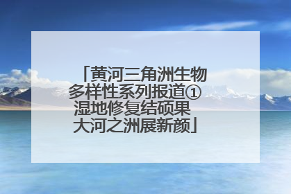 黄河三角洲生物多样性系列报道①湿地修复结硕果 大河之洲展新颜