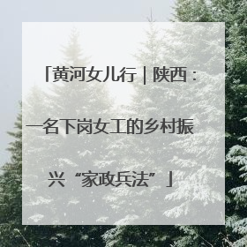 黄河女儿行｜陕西：一名下岗女工的乡村振兴“家政兵法”