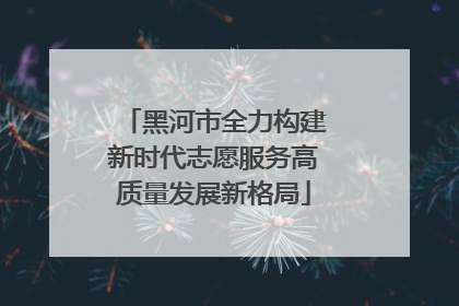 黑河市全力构建新时代志愿服务高质量发展新格局