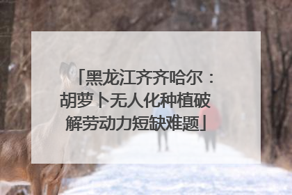 黑龙江齐齐哈尔：胡萝卜无人化种植破解劳动力短缺难题