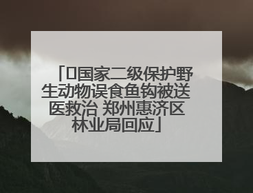 ﻿国家二级保护野生动物误食鱼钩被送医救治 郑州惠济区林业局回应
