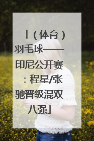（体育）羽毛球——印尼公开赛：程星/张驰晋级混双八强